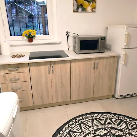 Pod Lasem Pracownicze Habitación en casa particular Goleniów