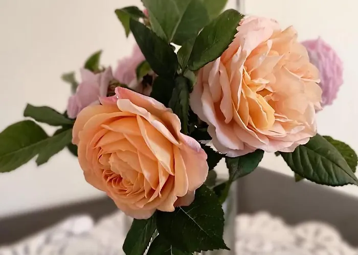 Pod Lasem Pracownicze * Goleniów